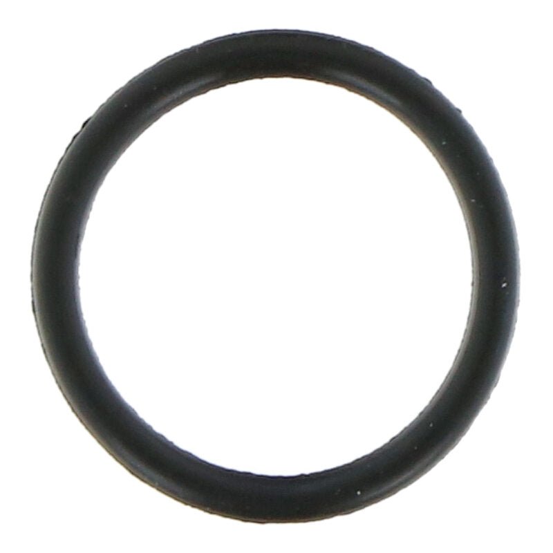 100 stuks waterdichte rubber ring voor back camera iPhone 11/11 Pro/11 Pro Max/12 Mini/12/12 Pro Max... zwart